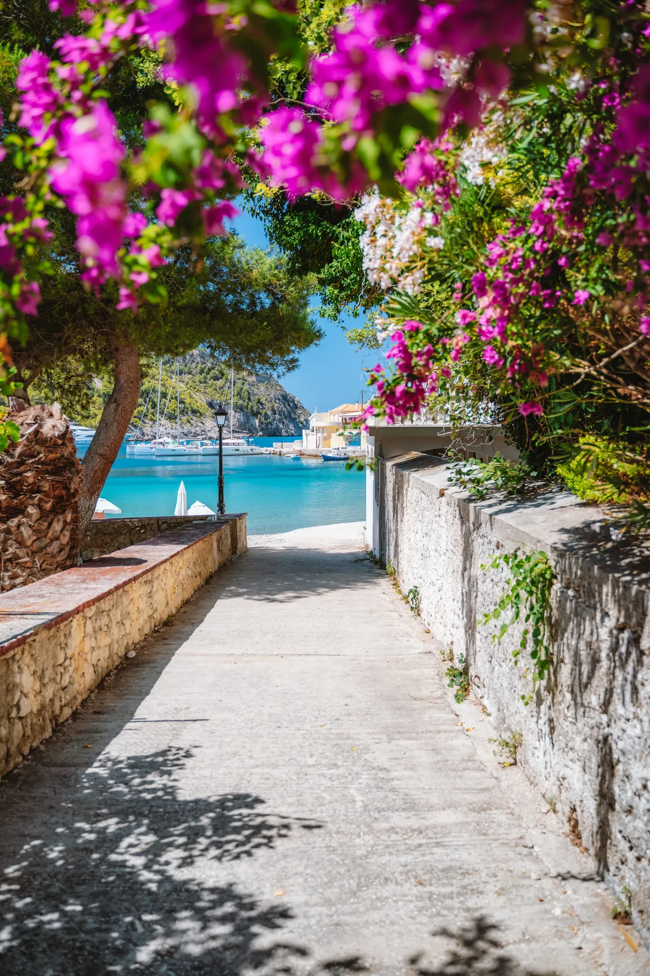 Light & Placement Guide