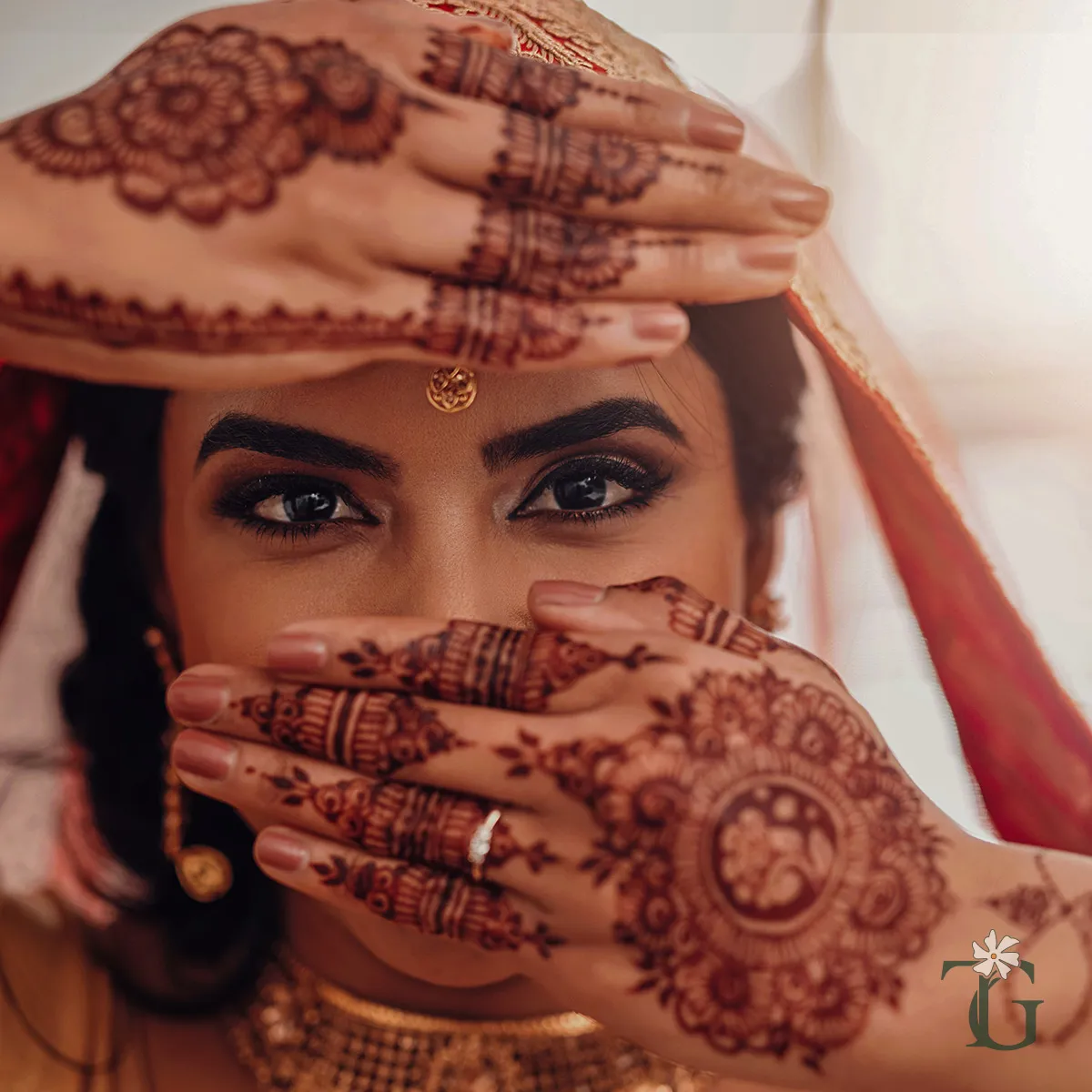 Henna (Mehndi plant)