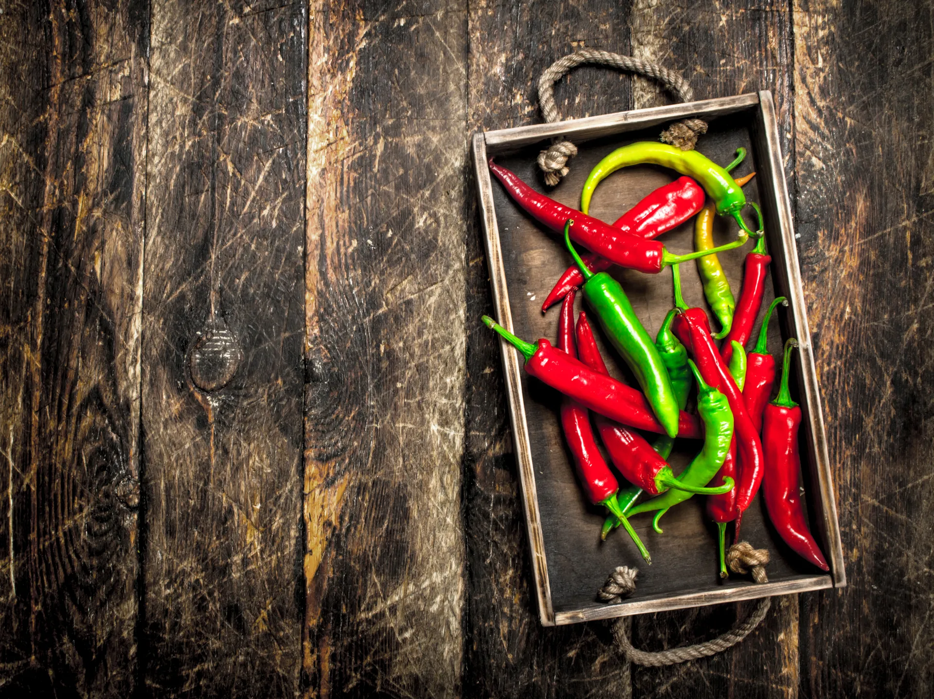 Pepper care guide
